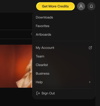 The account menu