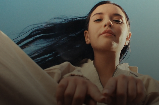 Understanding Licences