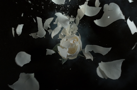 Managing your Billing